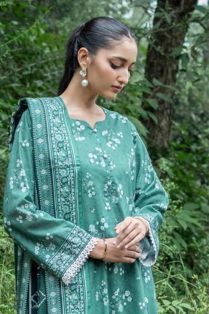 Zesh Airjet Printed Khaddar 3PC