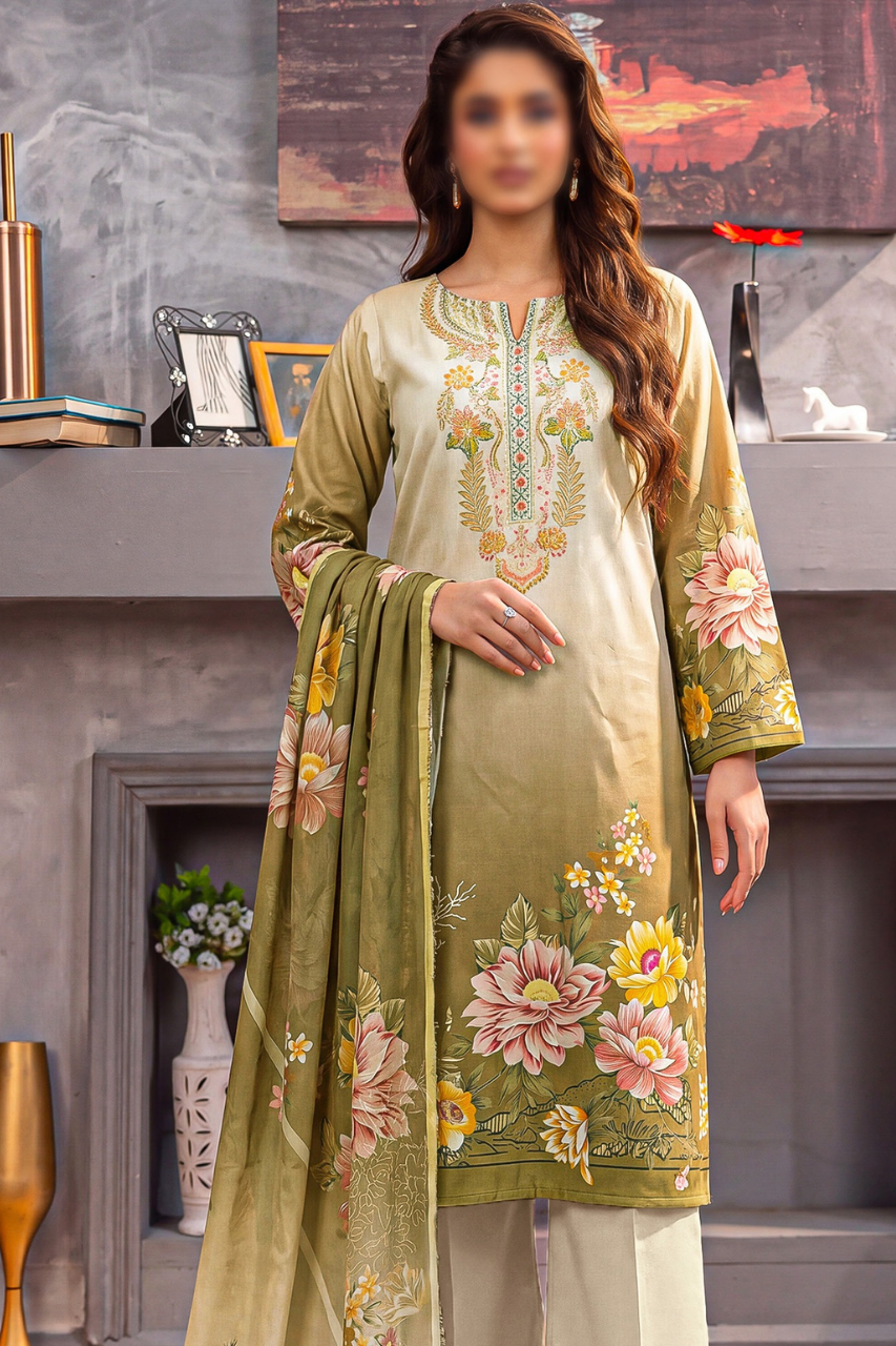 Asifa Nabeel Shamoz Silk With Emb Patches 3PC