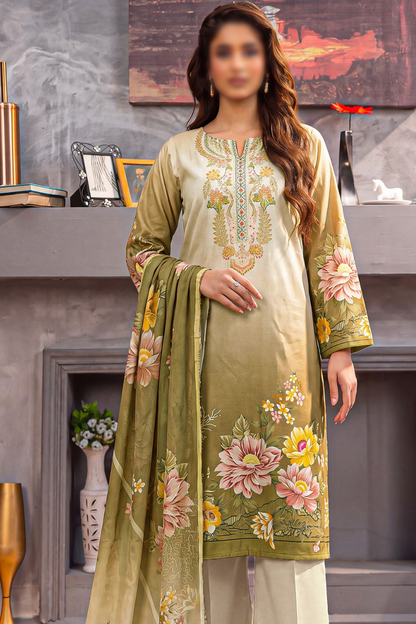 Asifa Nabeel Shamoz Silk With Emb Patches 3PC
