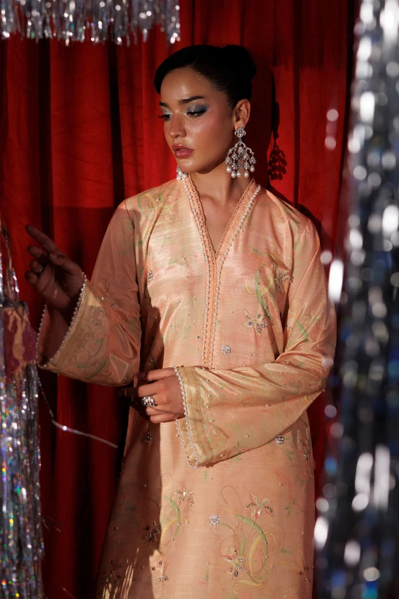 The Luxe Silk By Rang Rasiya'26