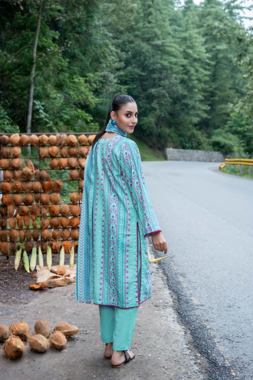 Zesh Airjet Printed Khaddar 3PC