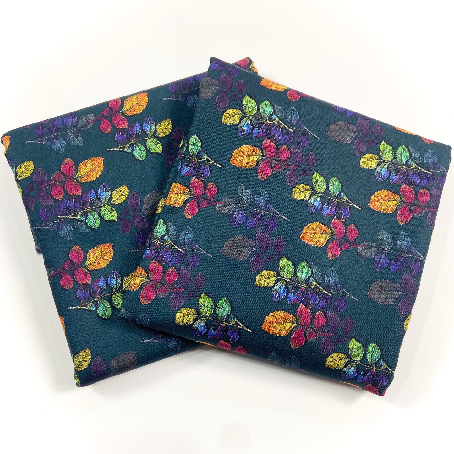 Anaya Noor Printed Dhanak Marina 2PC
