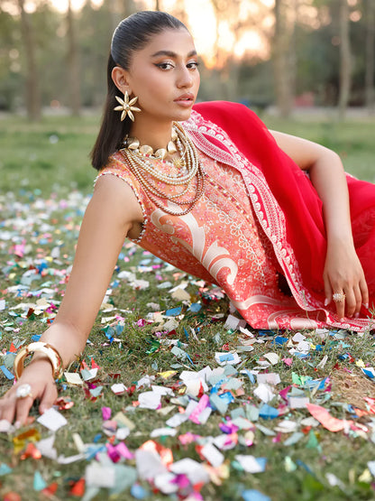 Carnival | Bin Ilyas | Luxury Lawn