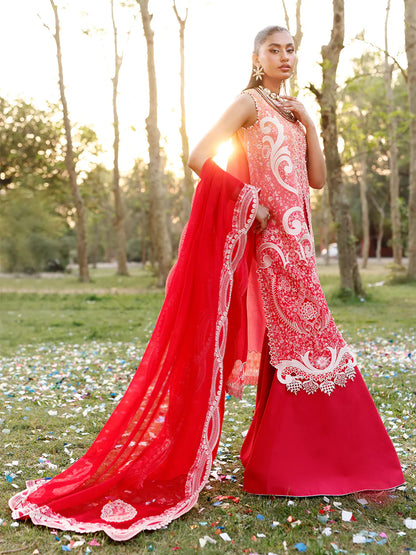 Carnival | Bin Ilyas | Luxury Lawn