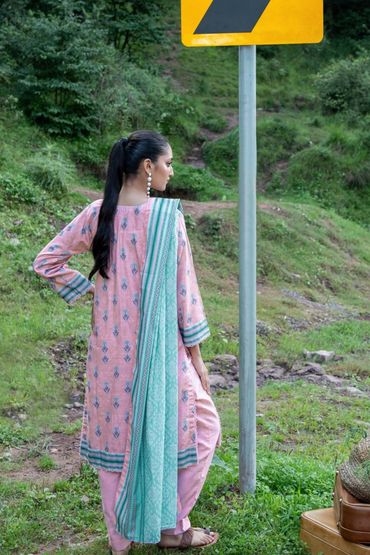 Zesh Airjet Printed Khaddar 3PC