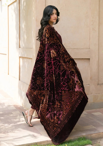 The Plush Edit By Rang Rasiya Winter'26
