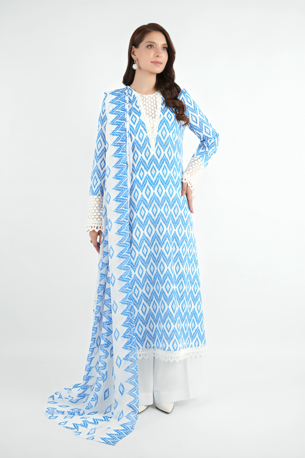 Bareeza Printed Khaddar 3PC