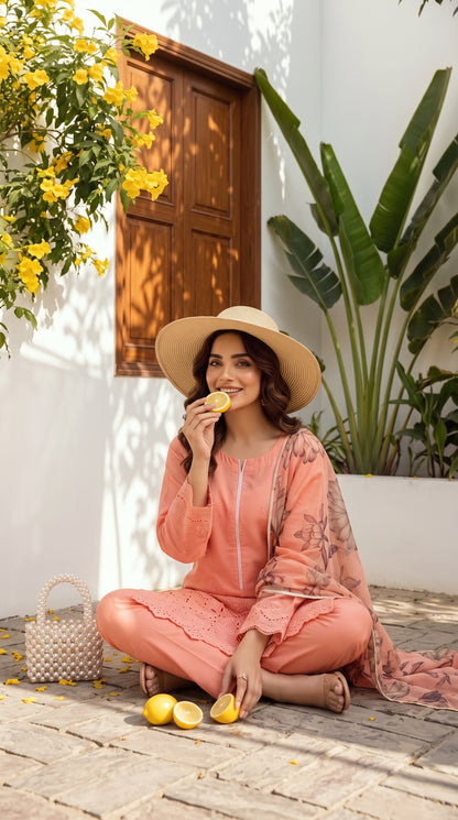 Dream Stone By Anaya Noor Full Heavy Emb Viscose 3PC