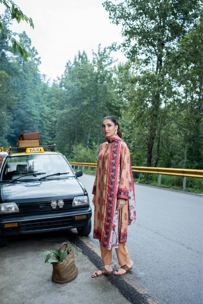 Zesh Airjet Printed Khaddar 3PC