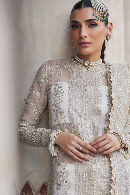 Tajwar | Organza | Dressline