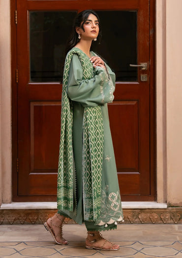 The Plush Edit By Rang Rasiya Winter'26