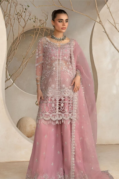 Noor Jahan | Organza | Dressline
