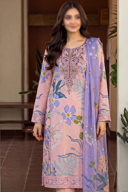 Asifa Nabeel Shamoz Silk With Emb Patches 3PC