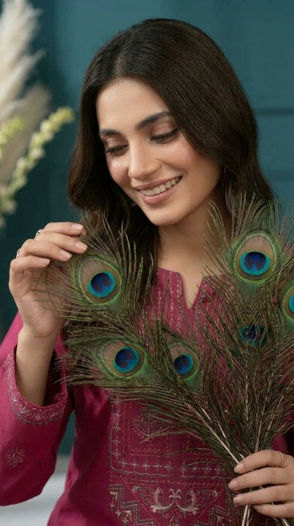 Kashmala By Anaya Noor Heavy Emb Khaddar With Woolen Shawl 3PC