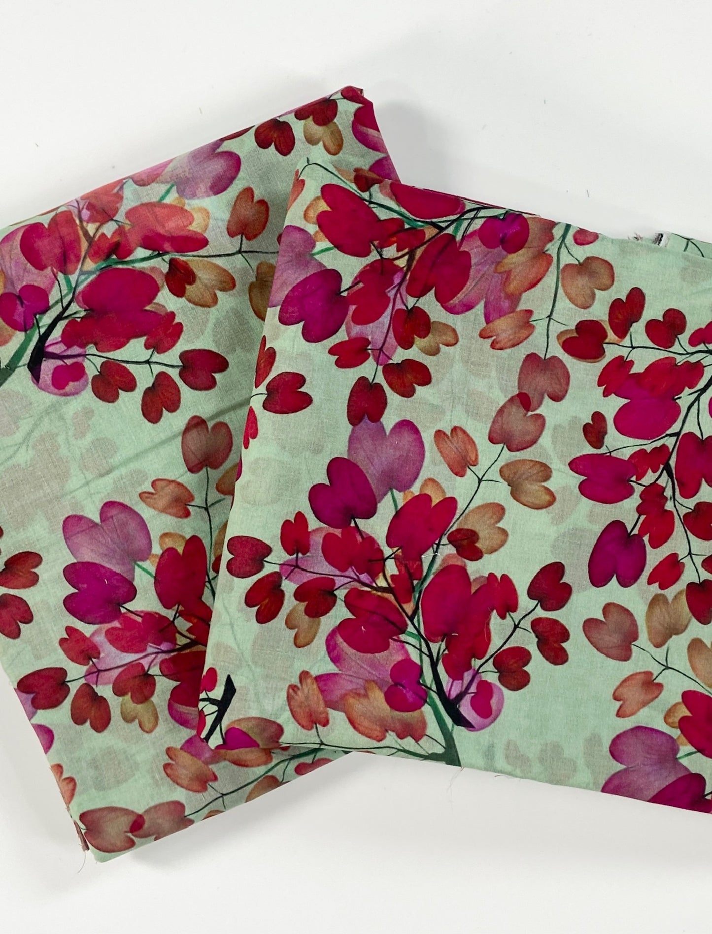 Bin Saeed Digital Printed Lawn 2PC