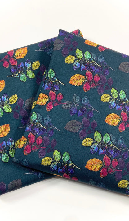 Anaya Noor Printed Dhanak Marina 2PC