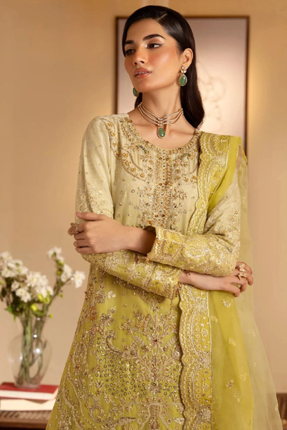 Rangeeli | Dressline | Organza
