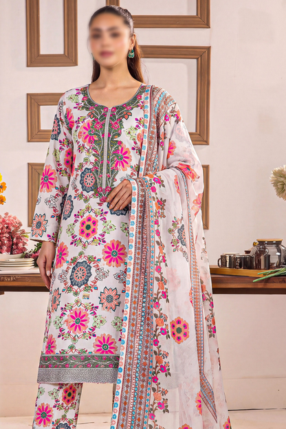 Asifa Nabeel Shamoz Silk With Emb Patches 3PC