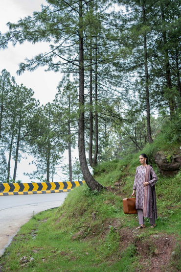 Zesh Airjet Printed Khaddar 3PC