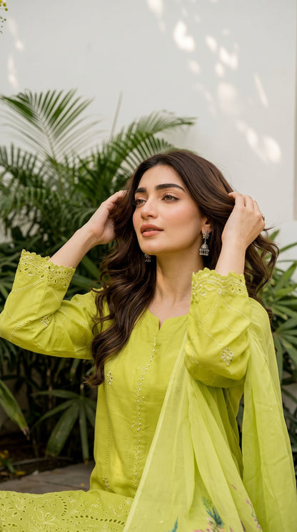 Dream Stone By Anaya Noor Full Heavy Emb Viscose 3PC