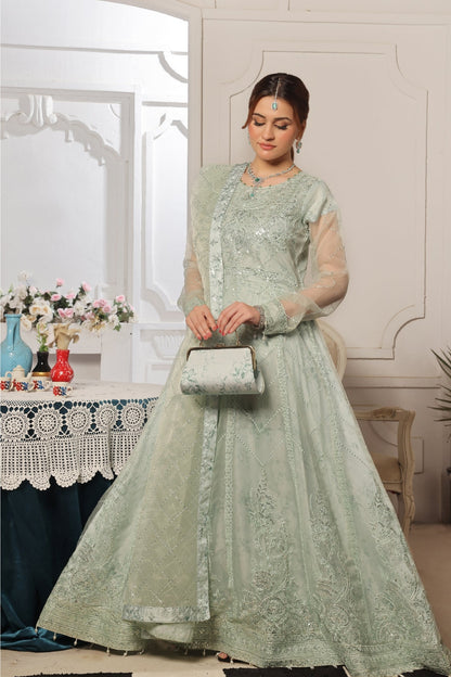Rubab | Organza | Dressline