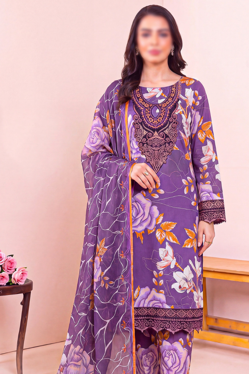 Asifa Nabeel Shamoz Silk With Emb Patches 3PC