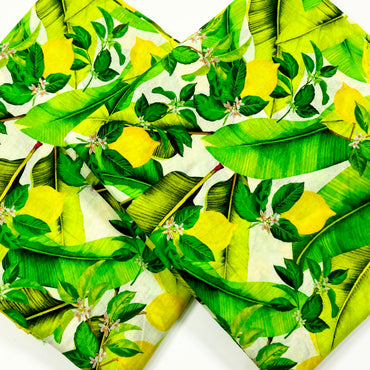 ( Bundle of 12 ) Anaya Noor