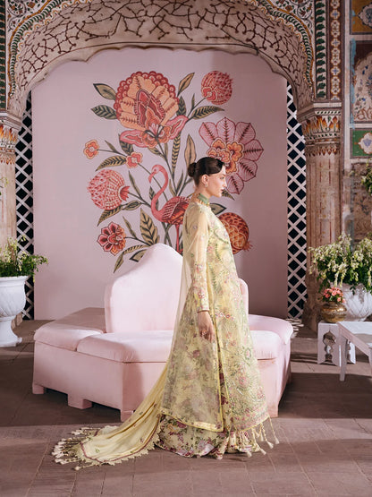 Amelia By Mahnur Luxury Embroidered Corduroy With Palachi Shawl 3PC