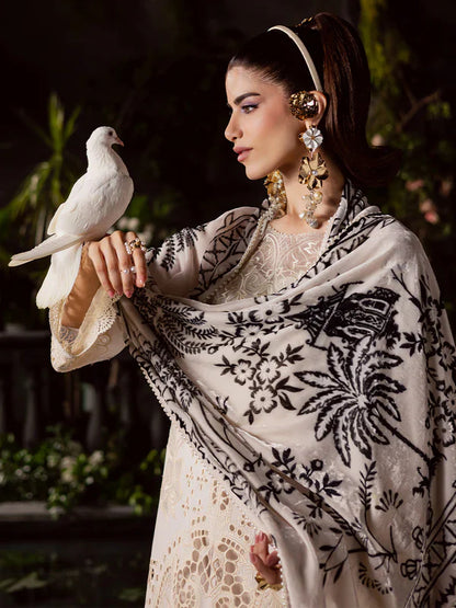 Amelia | Mahnur | Kotrai