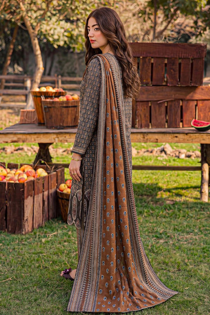 Rameen By Anaya Noor Printed & Laser Cutwork Emb Lawn 3PC