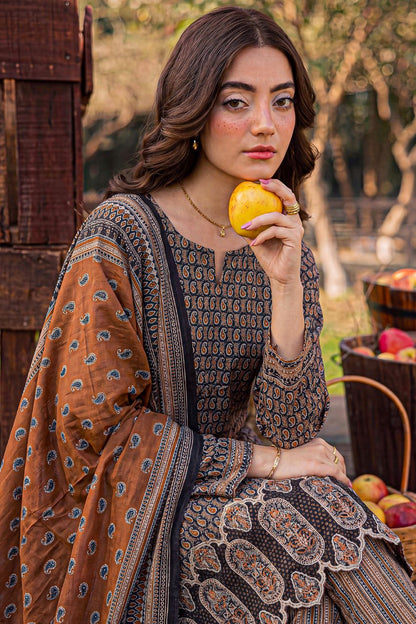 Rameen By Anaya Noor Printed & Laser Cutwork Emb Lawn 3PC