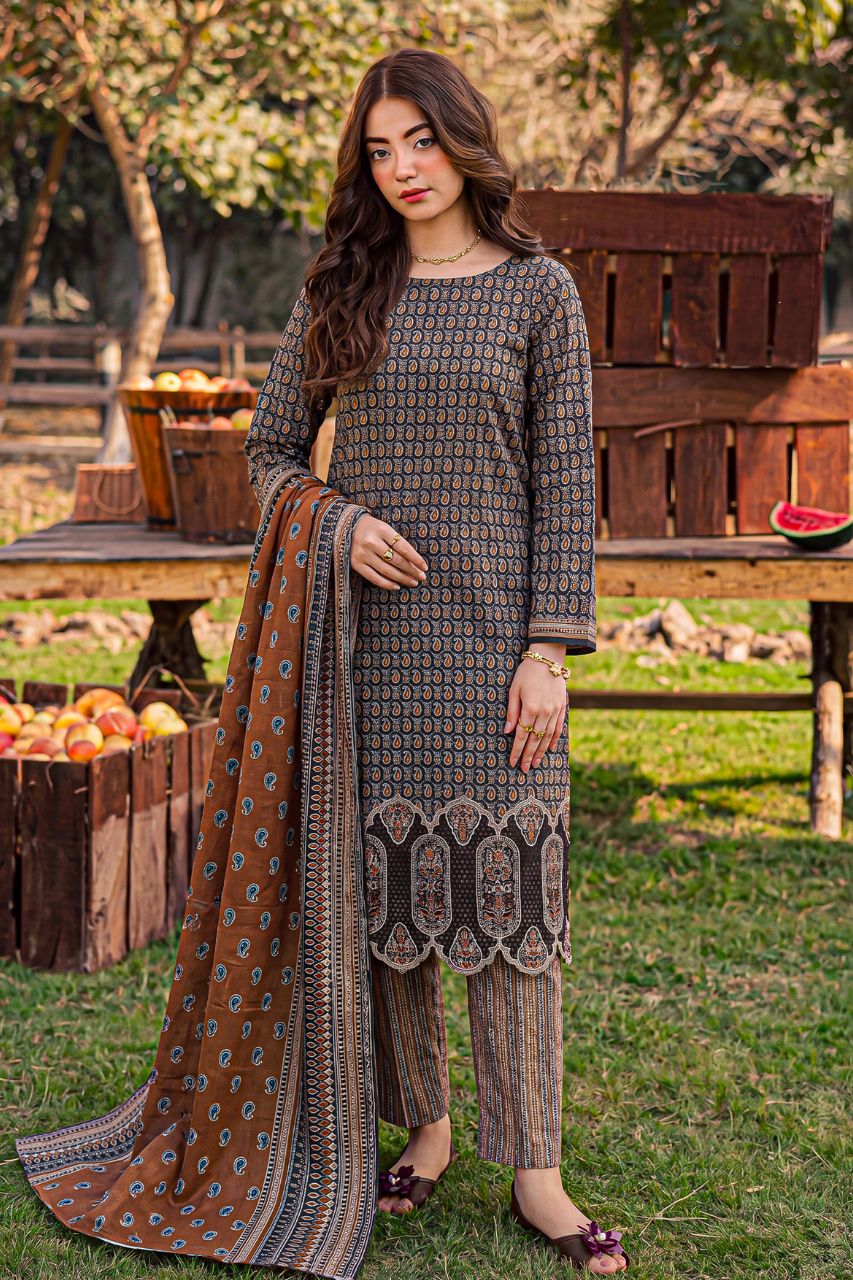 Rameen By Anaya Noor Printed & Laser Cutwork Emb Lawn 3PC