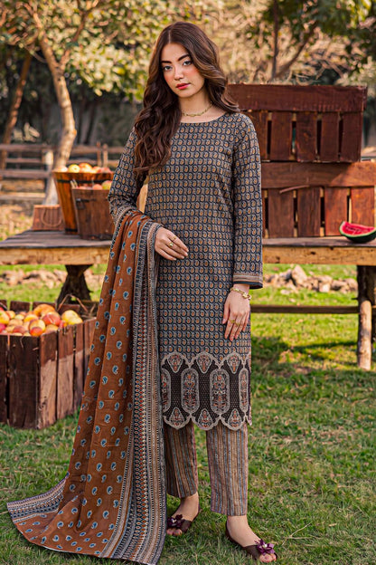 Rameen By Anaya Noor Printed & Laser Cutwork Emb Lawn 3PC