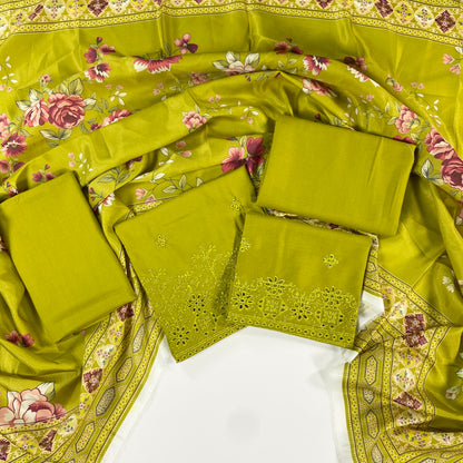 Anaya Noor Embroidered Dhanak 3PC