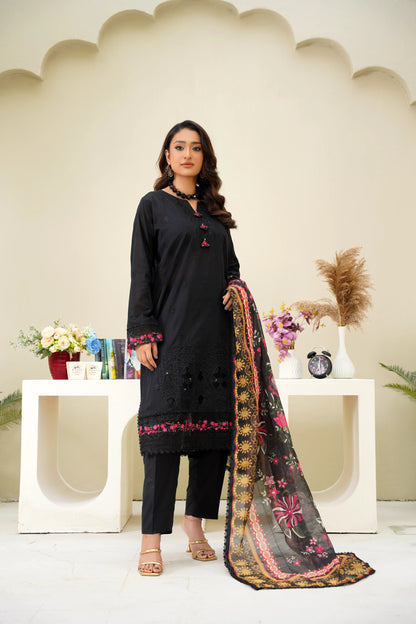 Virsa By Anaya Noor Chikenkari Lawn With Aplic 3PC
