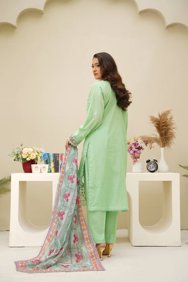 Virsa By Anaya Noor Chikenkari Lawn With Aplic 3PC
