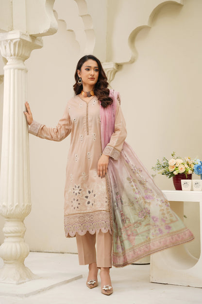 Virsa By Anaya Noor Chikenkari Lawn With Aplic 3PC