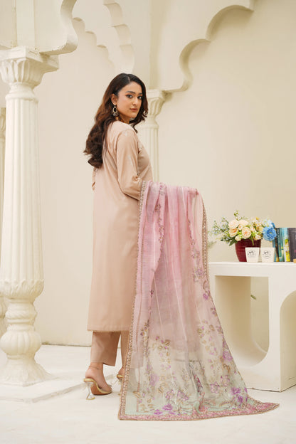 Virsa By Anaya Noor Chikenkari Lawn With Aplic 3PC