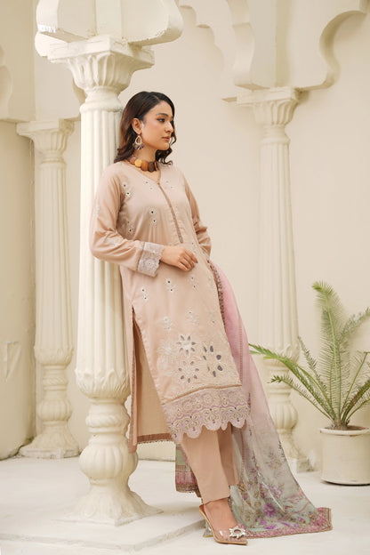 Virsa By Anaya Noor Chikenkari Lawn With Aplic 3PC
