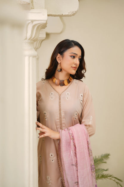 Virsa By Anaya Noor Chikenkari Lawn With Aplic 3PC