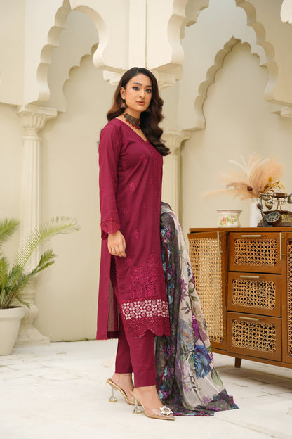 Virsa By Anaya Noor Chikenkari Lawn With Aplic 3PC