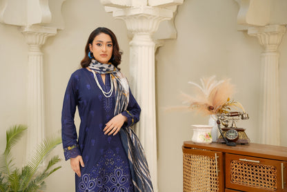 Virsa By Anaya Noor Chikenkari Lawn With Aplic 3PC