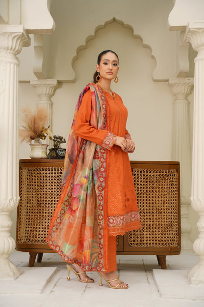Virsa By Anaya Noor Chikenkari Lawn With Aplic 3PC