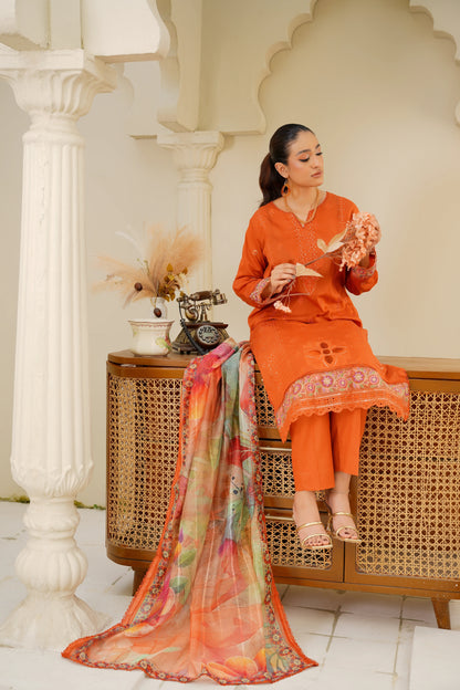 Virsa By Anaya Noor Chikenkari Lawn With Aplic 3PC