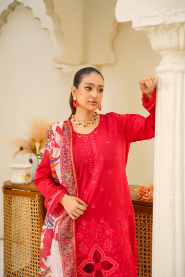 Virsa By Anaya Noor Chikenkari Lawn With Aplic 3PC