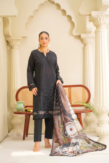Virsa By Anaya Noor Chikenkari Lawn With Aplic 3PC