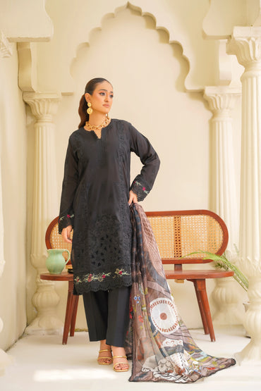Virsa By Anaya Noor Chikenkari Lawn With Aplic 3PC