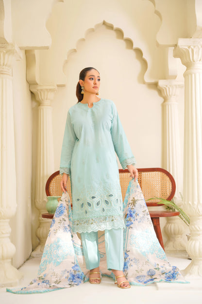 Virsa By Anaya Noor Chikenkari Lawn With Aplic 3PC