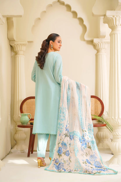 Virsa By Anaya Noor Chikenkari Lawn With Aplic 3PC