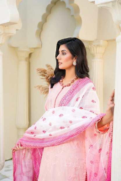 Virsa By Anaya Noor Chikenkari Lawn With Aplic 3PC
